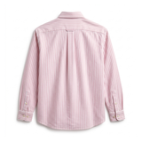 Home Office Striped Dress Shirt - Pink