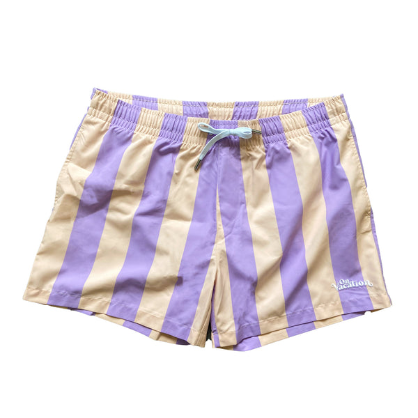 Swim Shorts Stripe - Multi